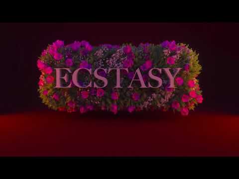 Lyrics to Ecstasy by Luh Kel