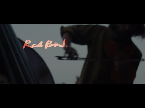 Red Bird lyrics
